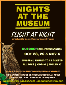 nights at the museum flight at night fall owl presentation