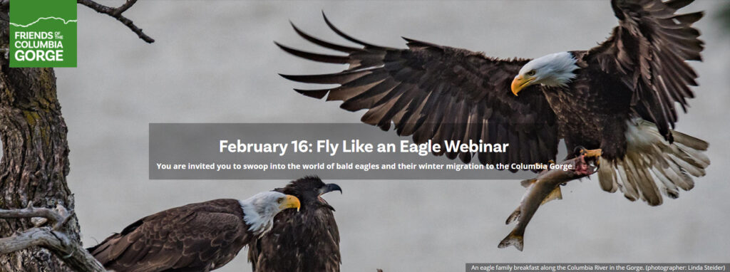 gorge friends eaglewatch webinar