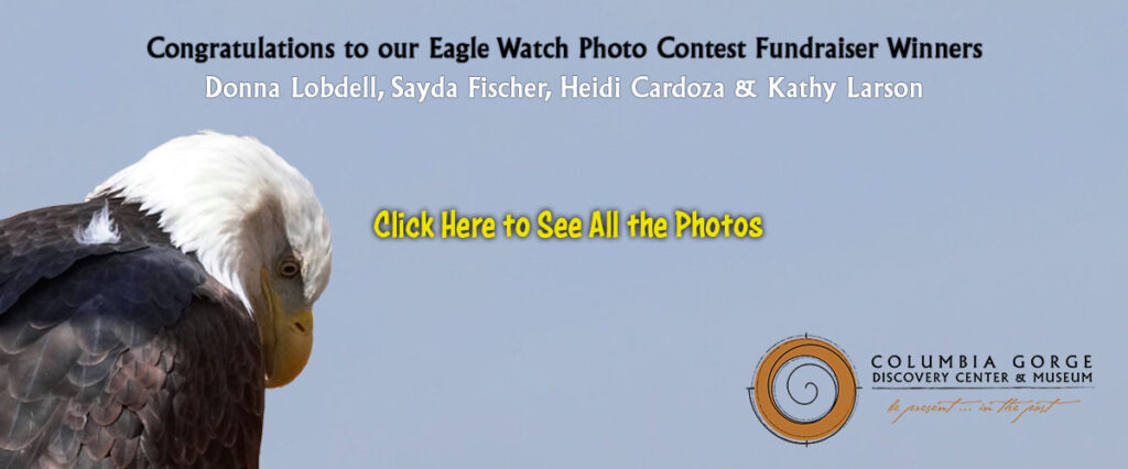 columbia gorge discovery center eagle watch 2021 winners slider