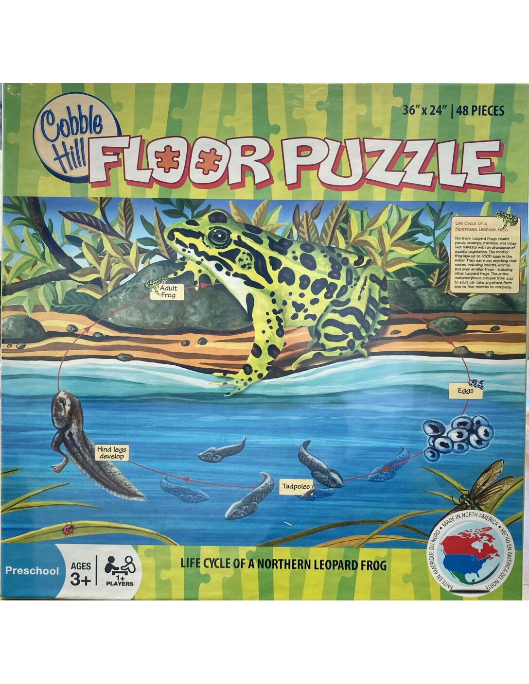Frog Floor Puzzle