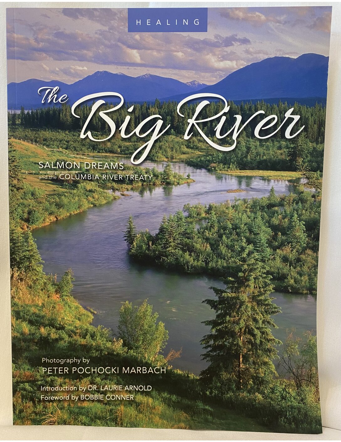 Healing The Big River (Book)