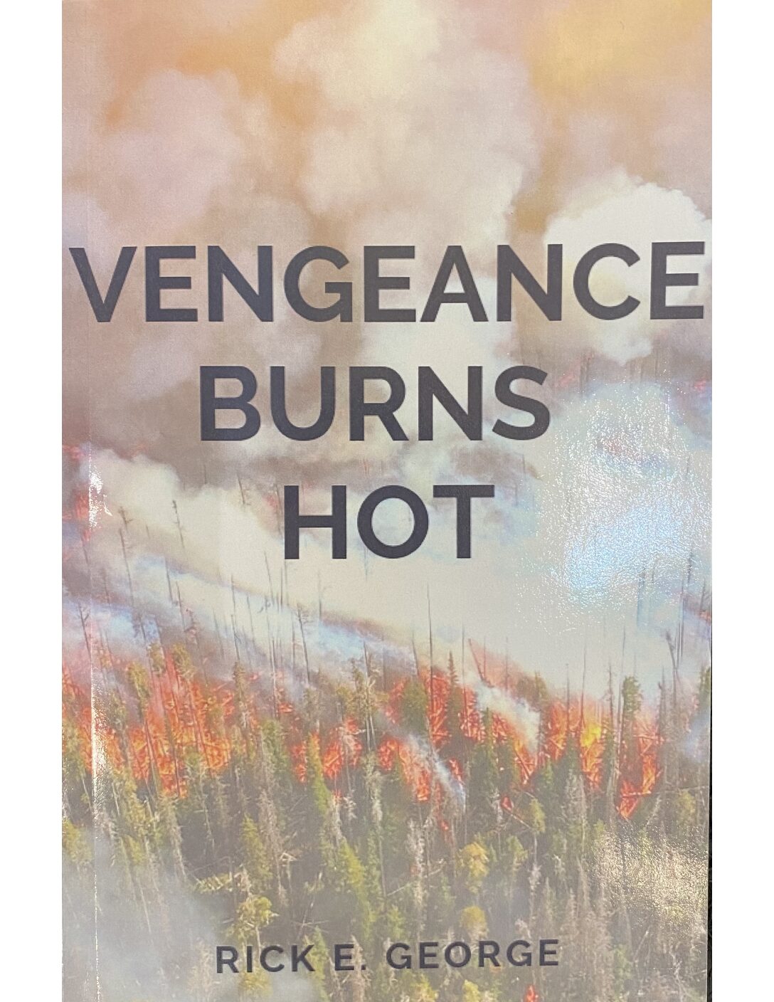 Vengeance Burns Hot (Book)