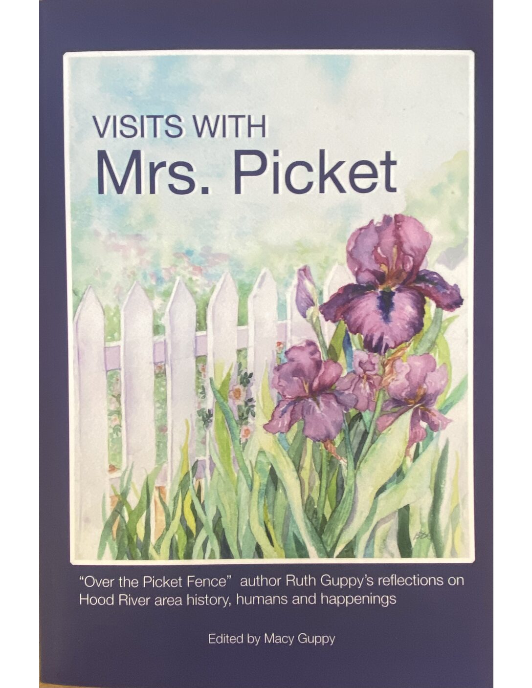 Visits With Mrs. Picket (Book)